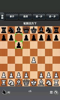 国际象棋图4