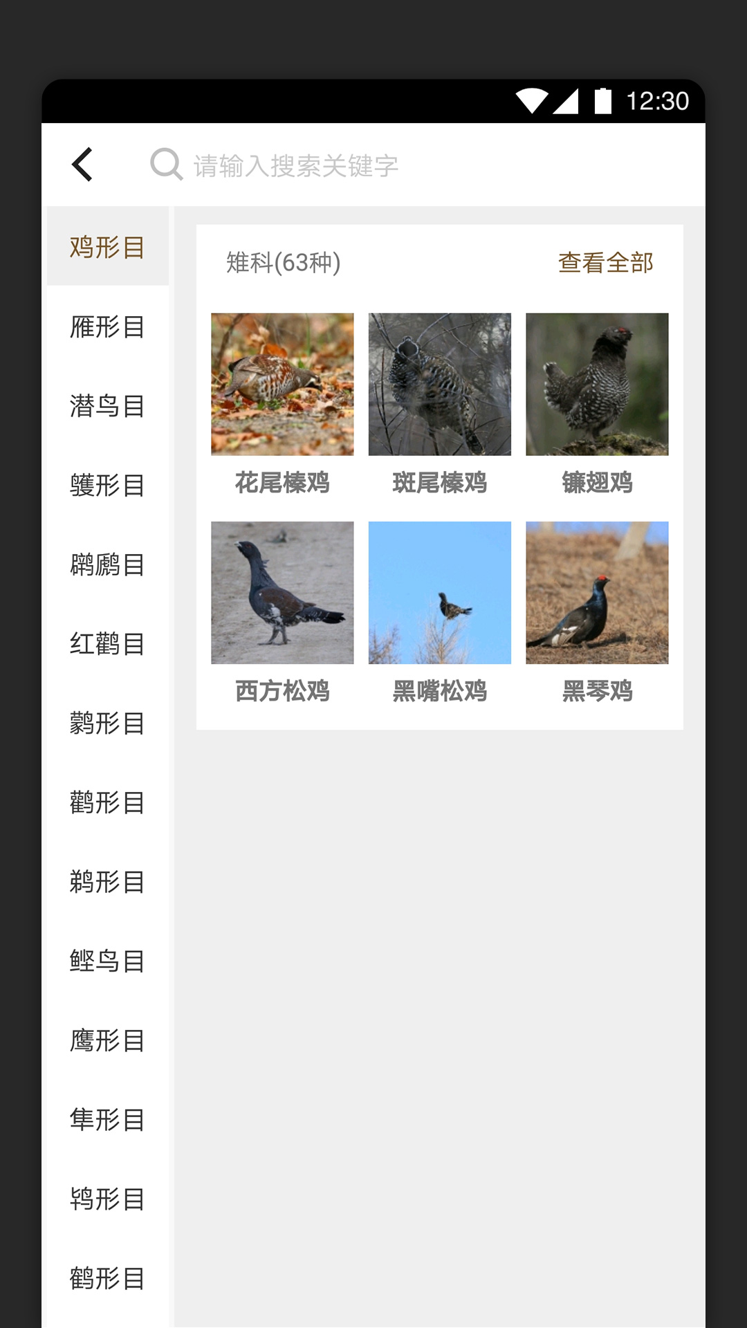 识鸟图2