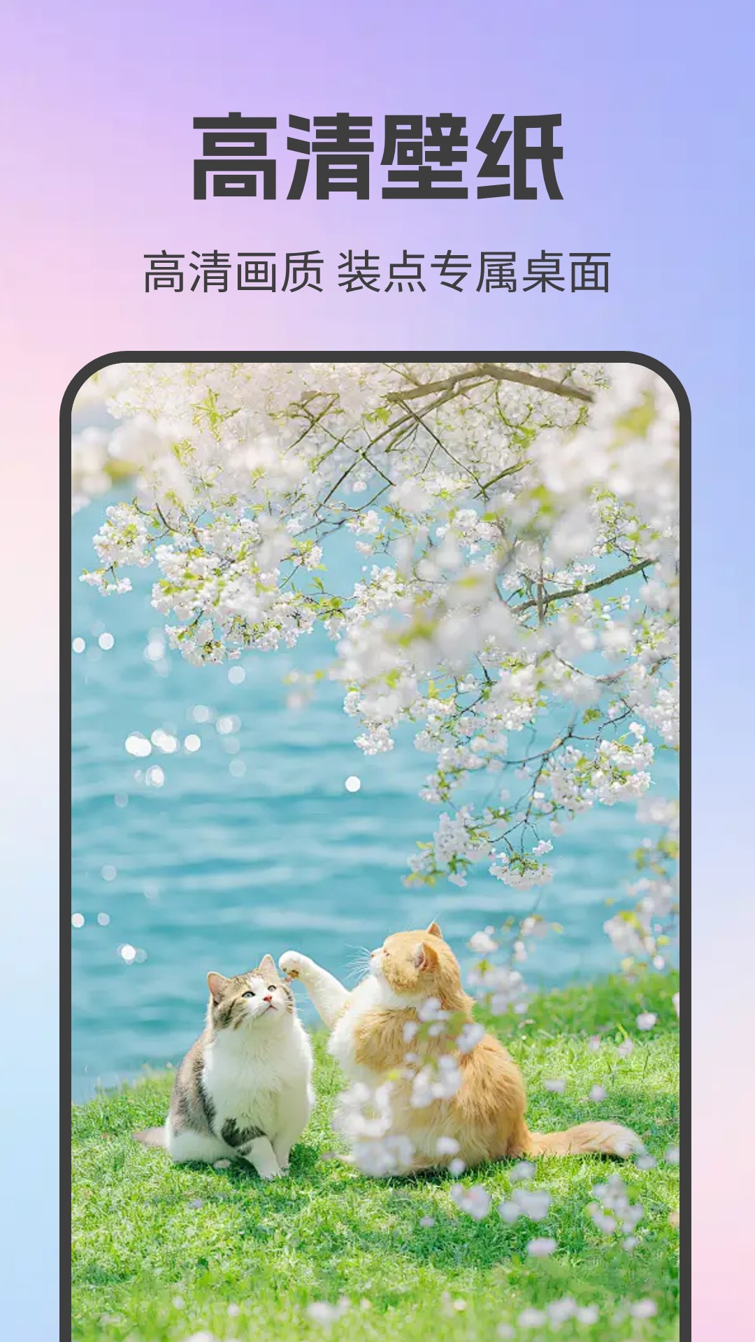 免费动态壁纸星球图2