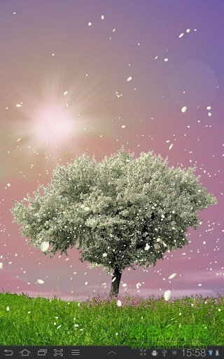 春天动态壁纸(Spring Trees)图3