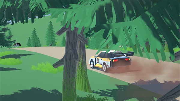 N3Rally安装器图4