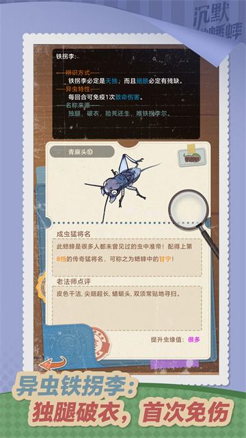 沉默的蟋蟀图5