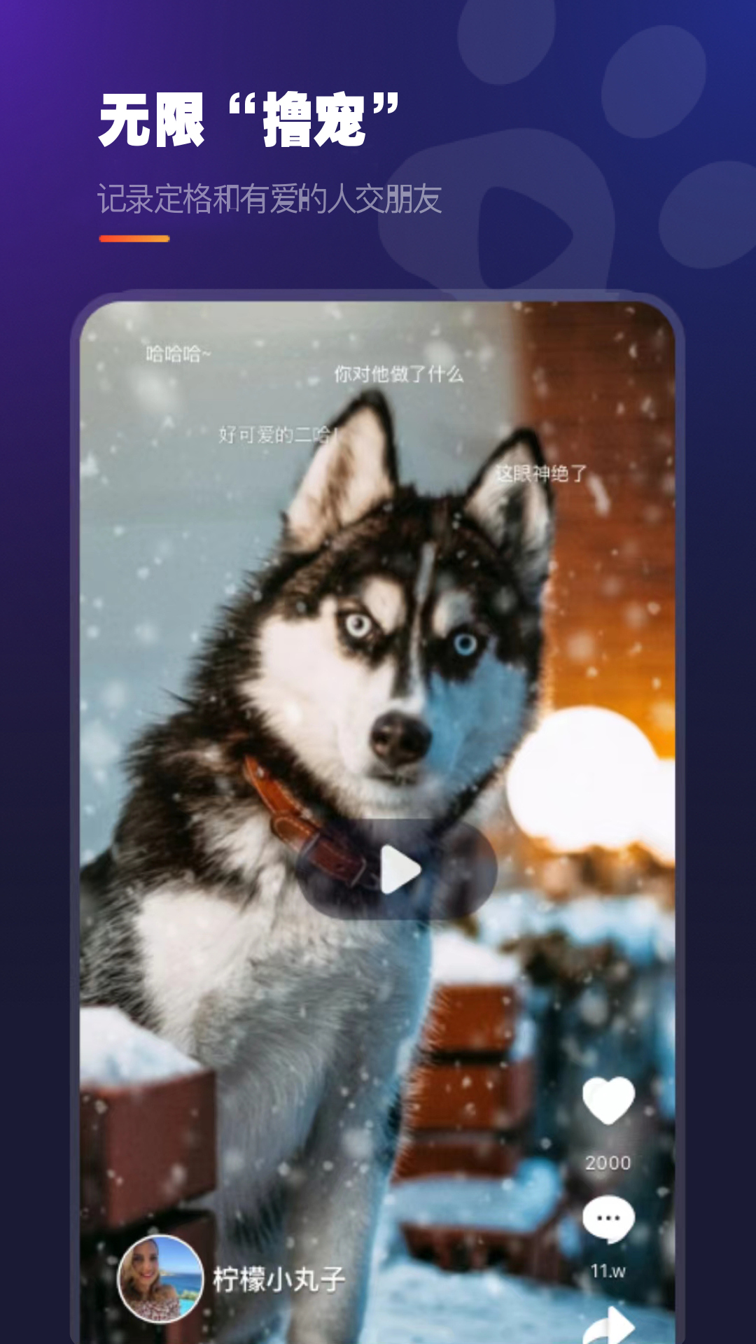 趣爪印图3