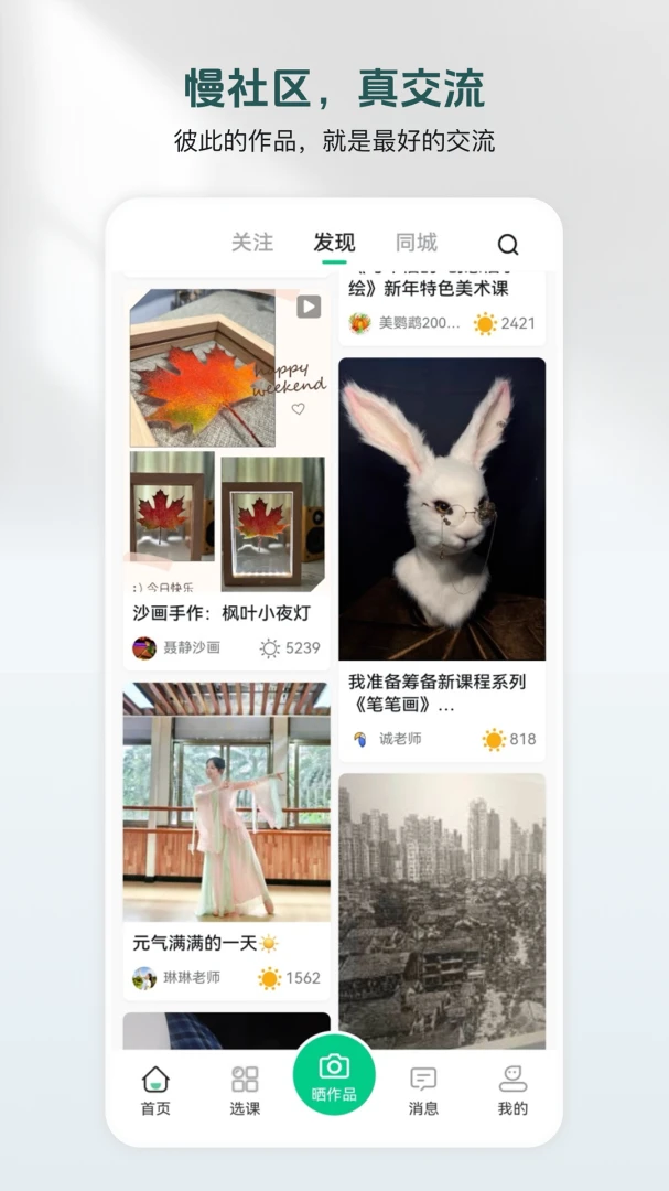 美鹦鹉图1