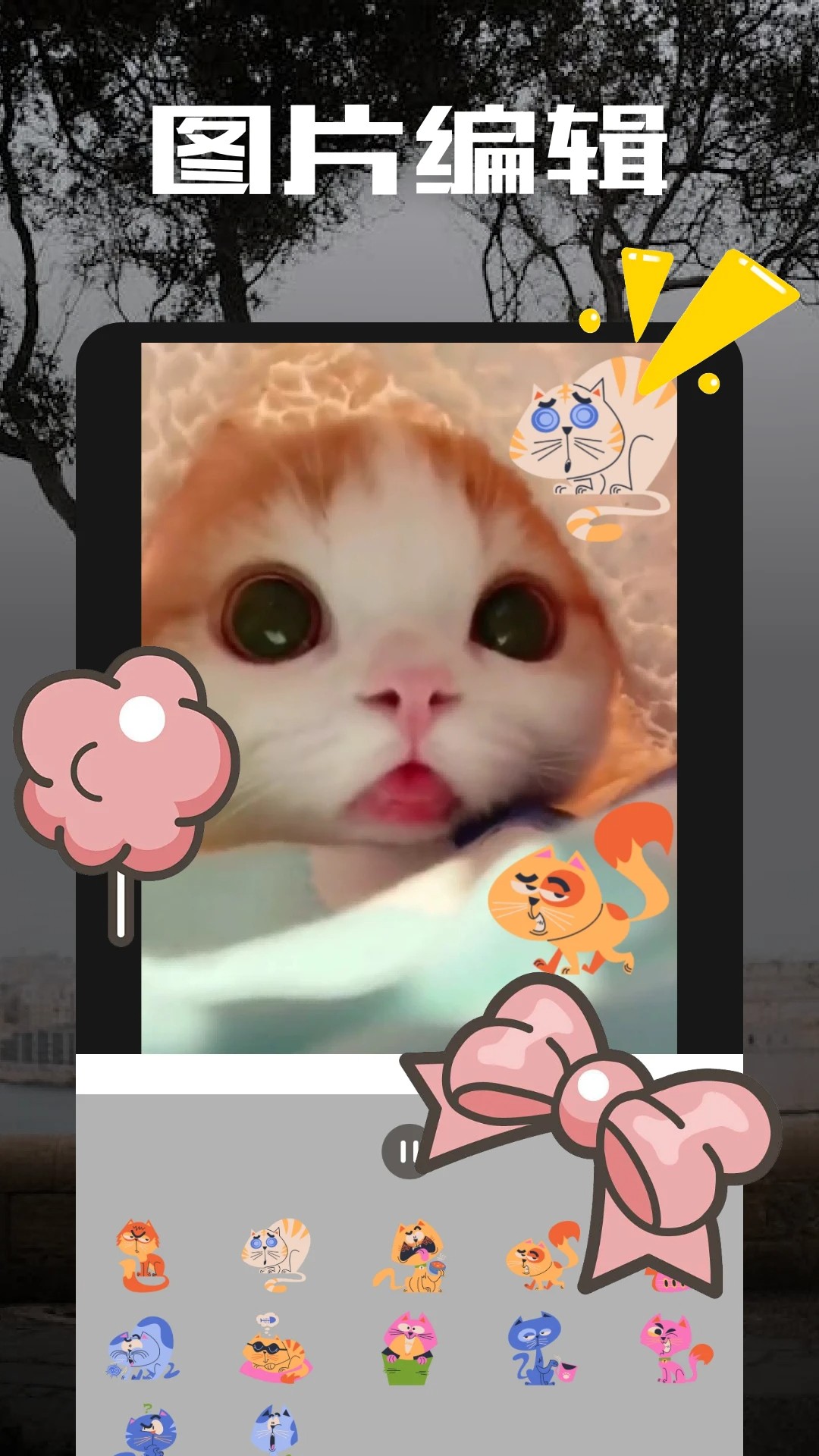 二皮剪辑图3