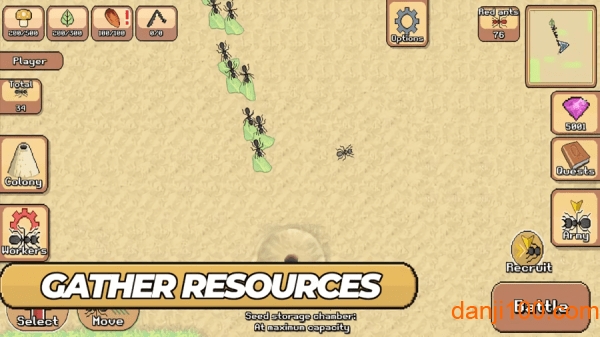 口袋蚂蚁最新版(Pocket Ants)图3