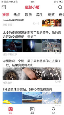 蜜蜂小报