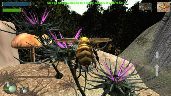 蜂巢模拟器3d(Bee Nest Simulation 3D)图2