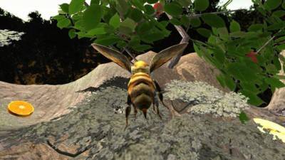 蜂巢模拟器3d(Bee Nest Simulation 3D)图3