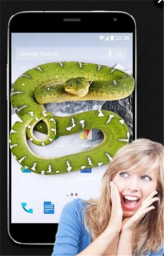 微信里养蛇App安卓版(iSnake - 蛇在手上)图3