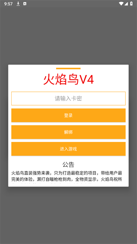 火焰鸟直装图1