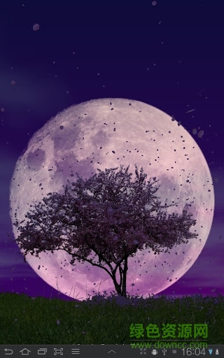 春天动态壁纸(Spring Trees)图1