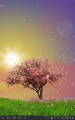 春天动态壁纸(Spring Trees)图4