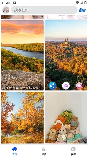 波奇壁纸图3