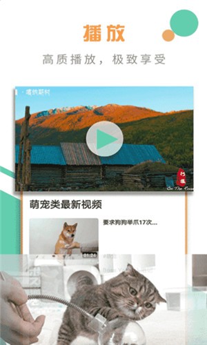 椰子视频图4