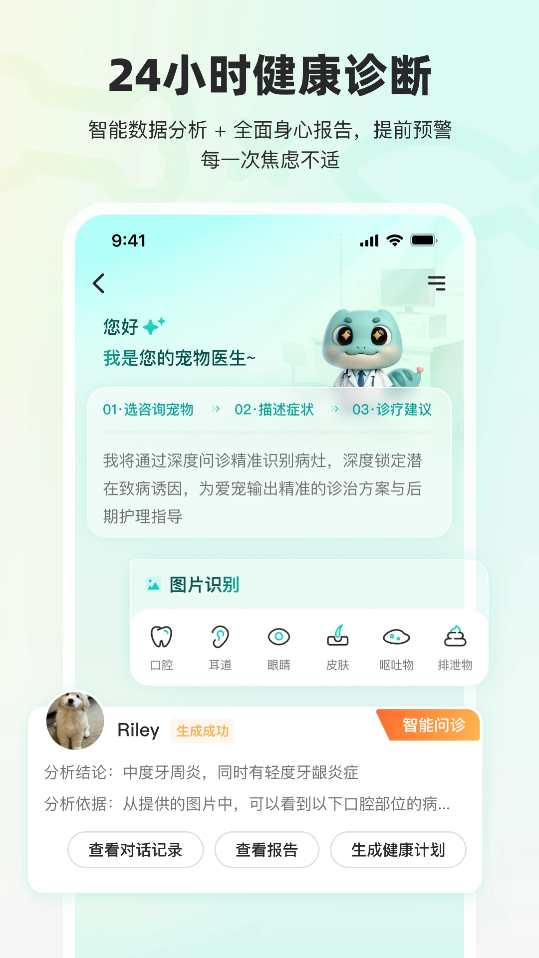 宠拍档图3