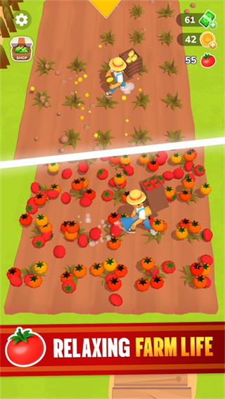 Little Farm Story安装器图1