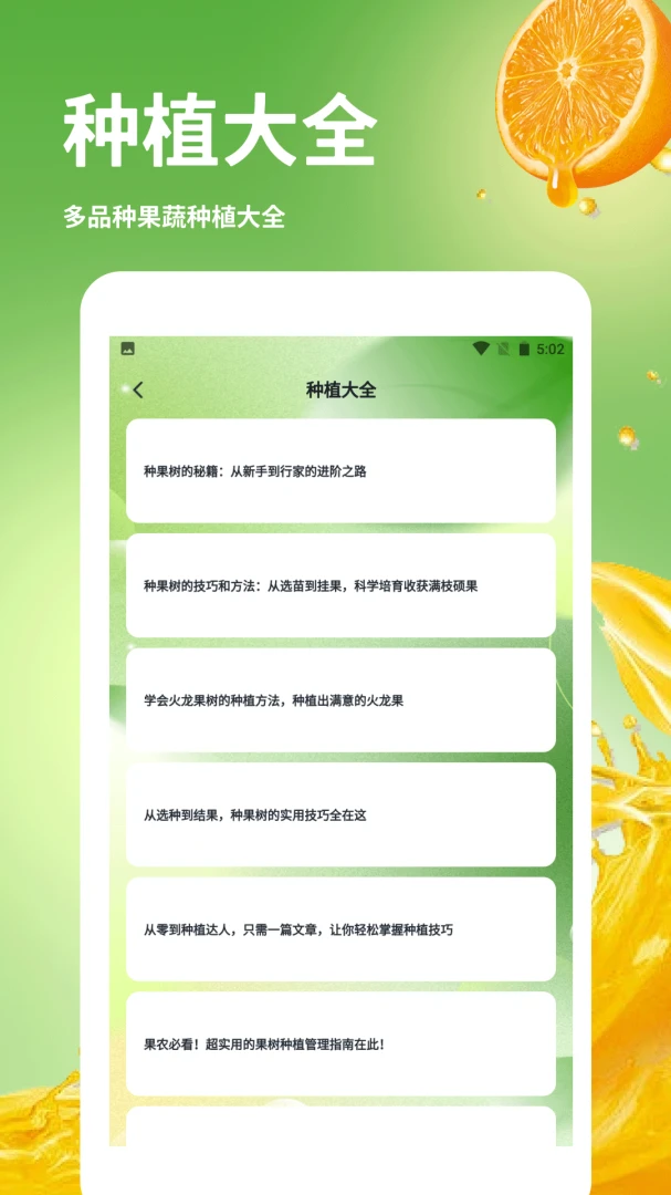 发财橙子图4