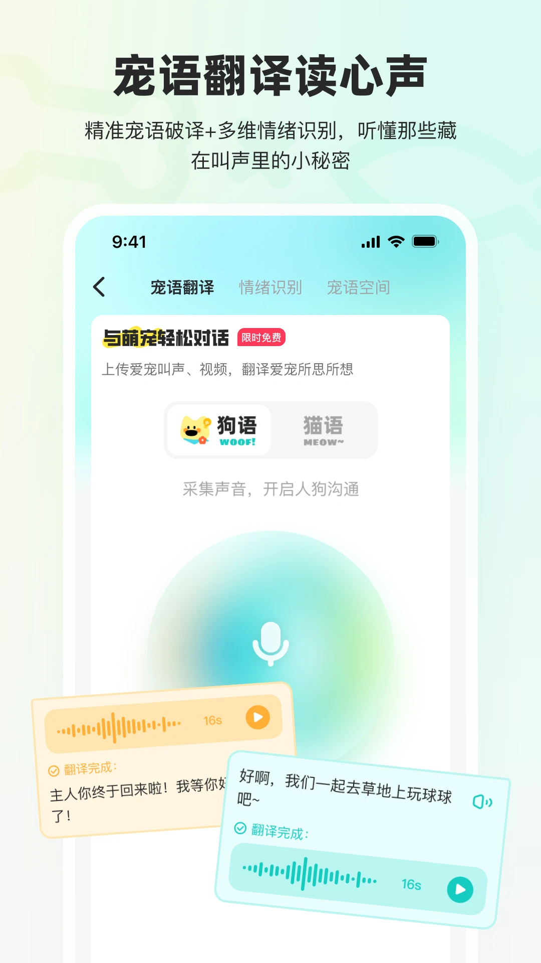 宠拍档图2