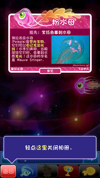 超级星鱼2026最新版图3