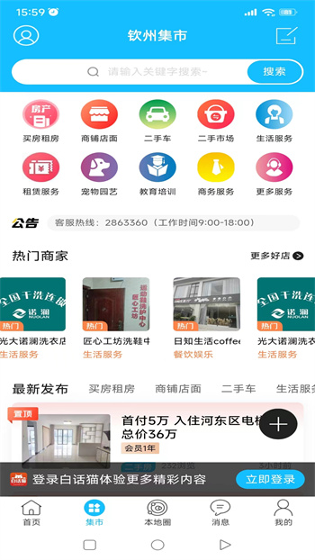 白话猫图3