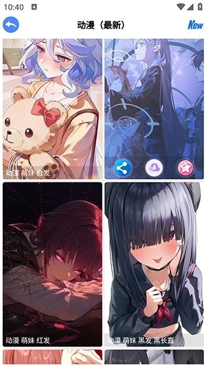 波奇壁纸图4
