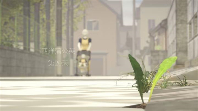 蒲公英不屈图2