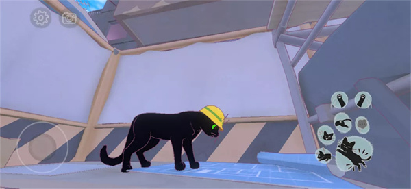 Little Kitty, Big City图5