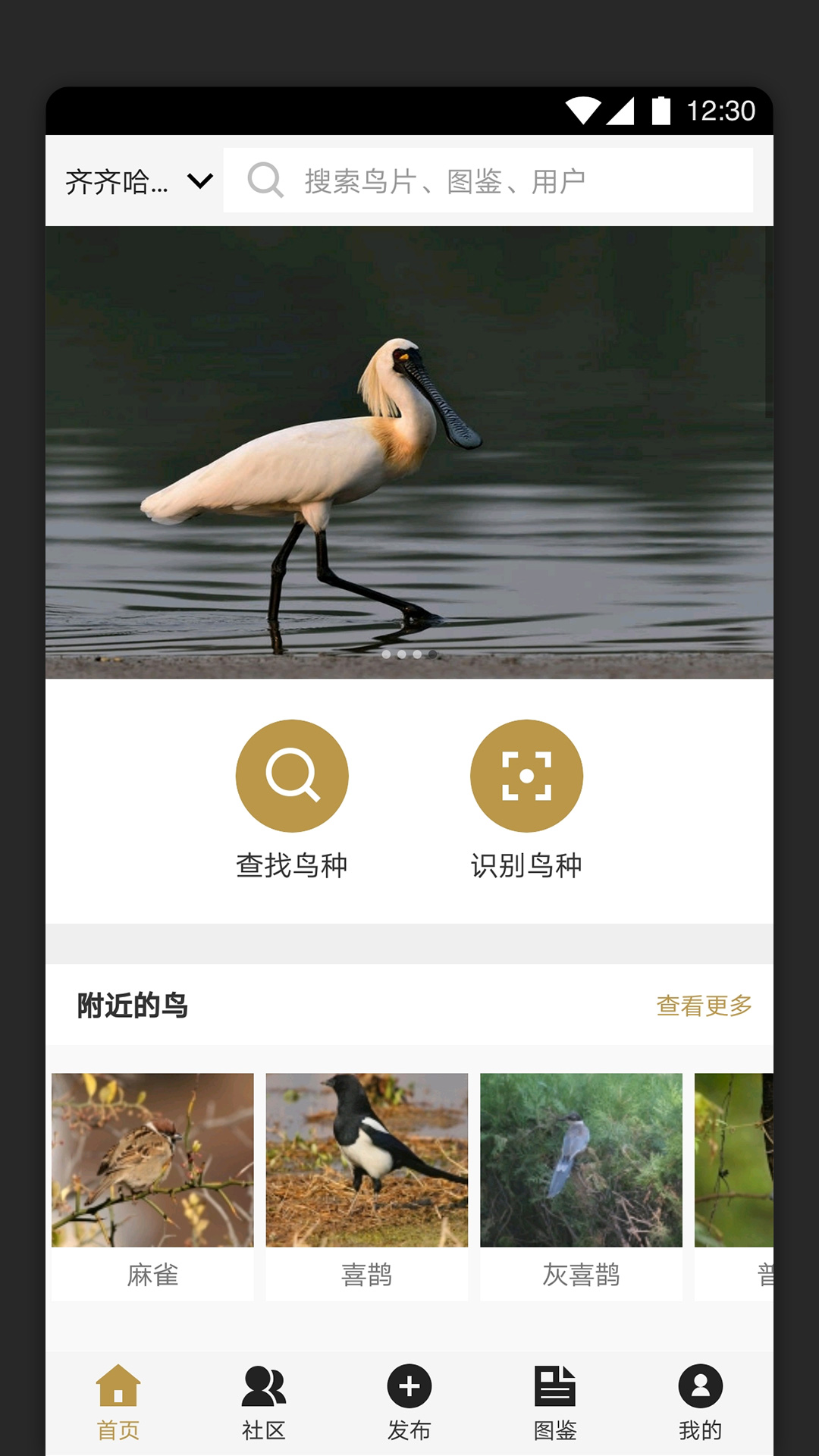 识鸟图4