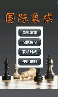 国际象棋图2