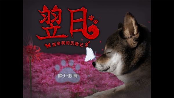 翌日-波奇狗的历险记-图1