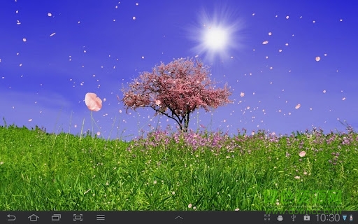 春天动态壁纸(Spring Trees)图5