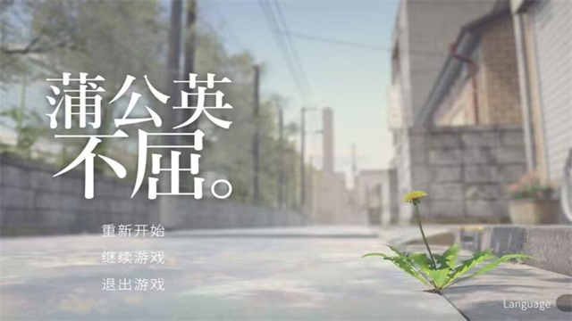 蒲公英不屈图1