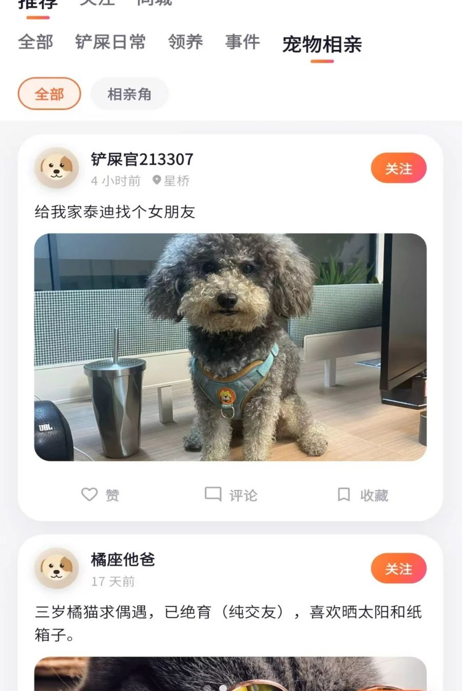 别流浪图2