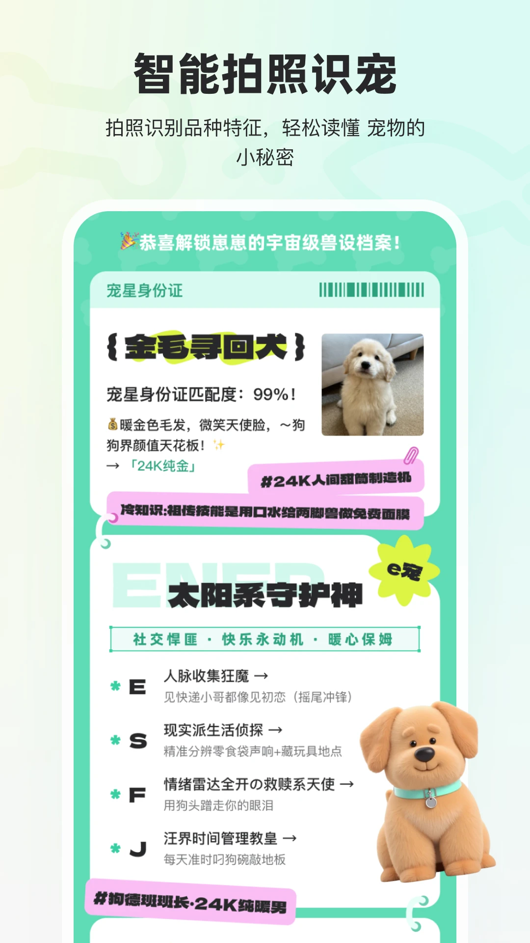 宠拍档图5