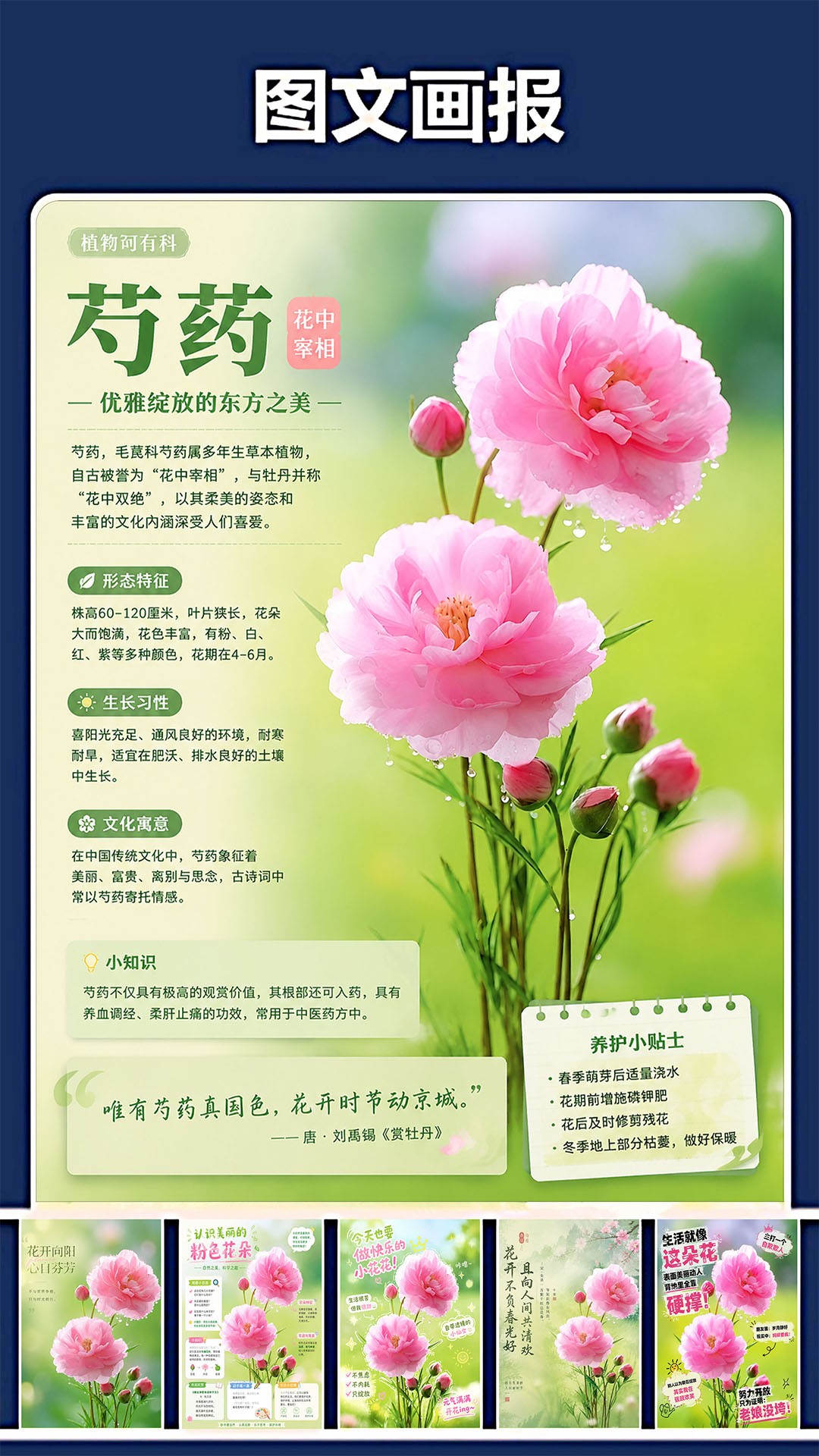修复P图王图2