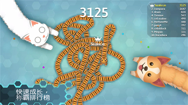 Snakeio游戏图3