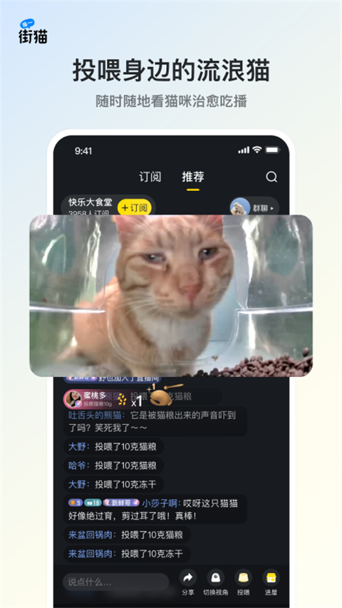 街猫(流浪猫领养软件) v3.2.6 安卓版图5