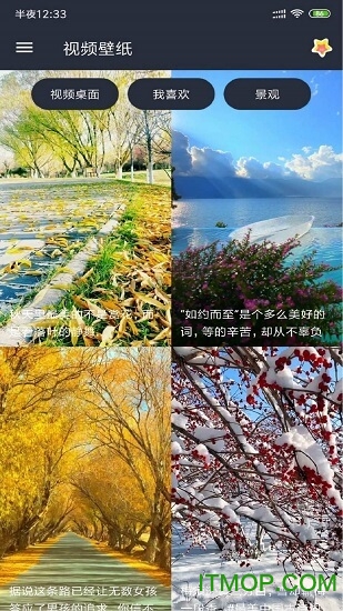 视频壁纸图3